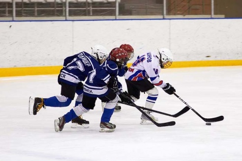Хоккей: бой с Брянском