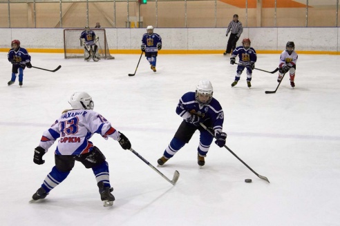 Хоккей: бой с Брянском