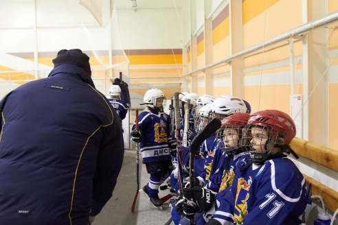 Хоккей: бой с Брянском