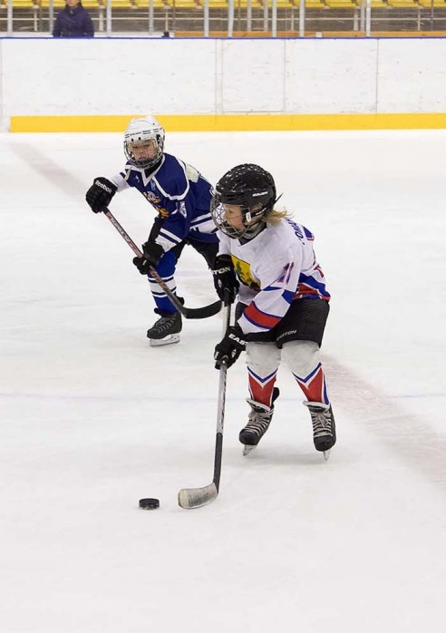 Хоккей: бой с Брянском