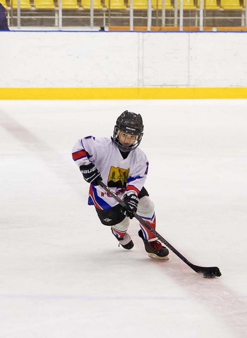 Хоккей: бой с Брянском