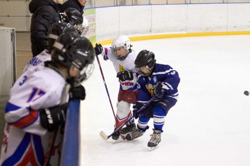 Хоккей: бой с Брянском