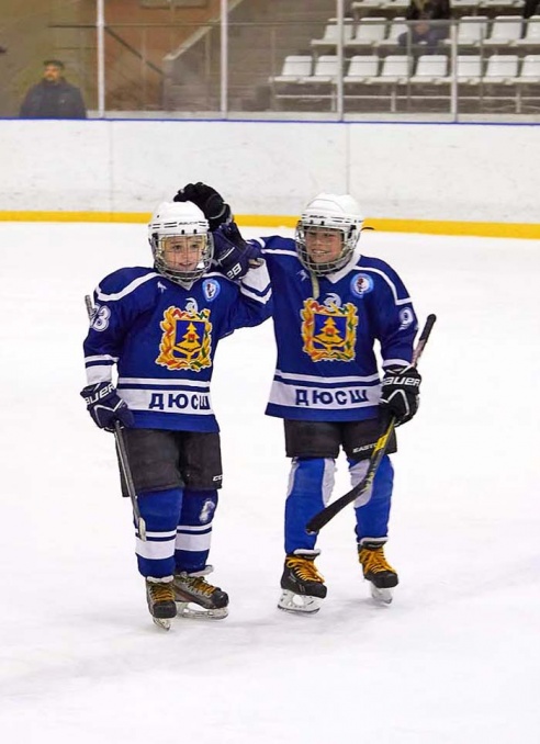 Хоккей: бой с Брянском