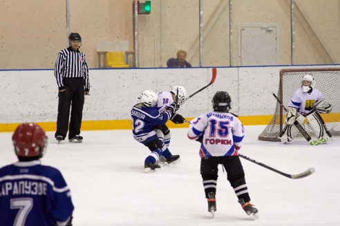 Хоккей: бой с Брянском