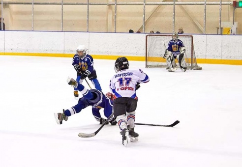 Хоккей: бой с Брянском