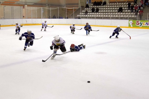 Хоккей: бой с Брянском