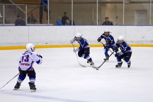 Хоккей: бой с Брянском