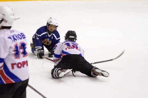 Хоккей: бой с Брянском