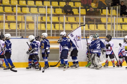 Хоккей: бой с Брянском