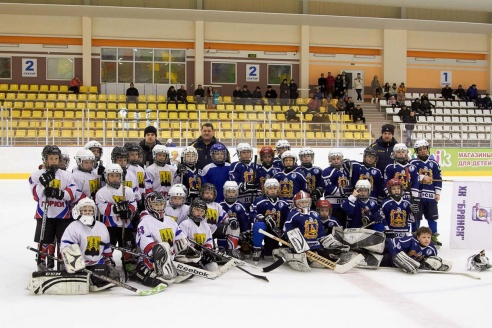 Хоккей: бой с Брянском