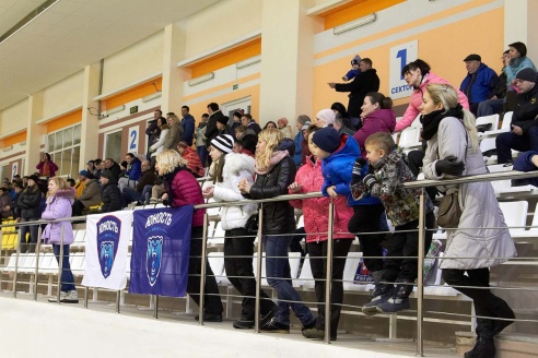 Хоккей: бой с Брянском