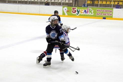 Хоккей: бой с Брянском