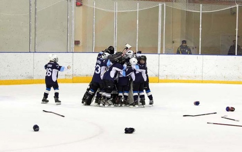 Хоккей: бой с Брянском