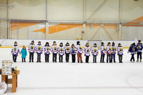 Хоккей: бой с Брянском