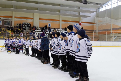 Хоккей: бой с Брянском