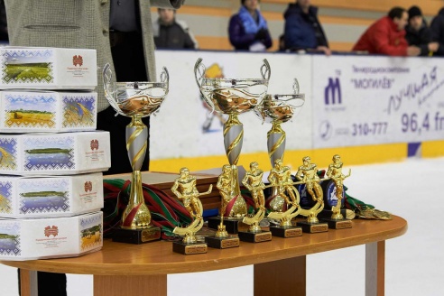 Хоккей: бой с Брянском