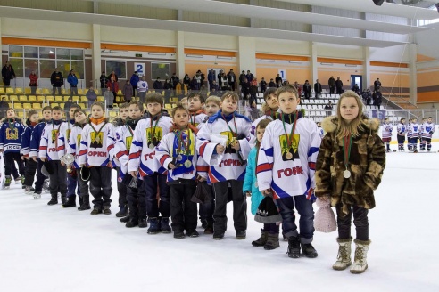 Хоккей: бой с Брянском