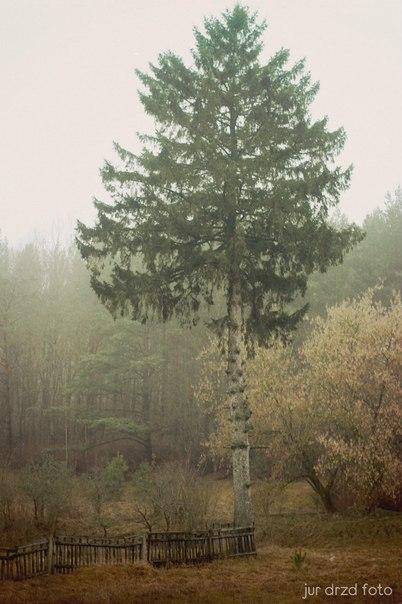 «Подслушано Барановичи» за первую весеннюю неделю