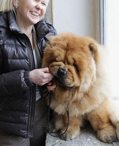 В Барановичах прошла республиканская выставка собак