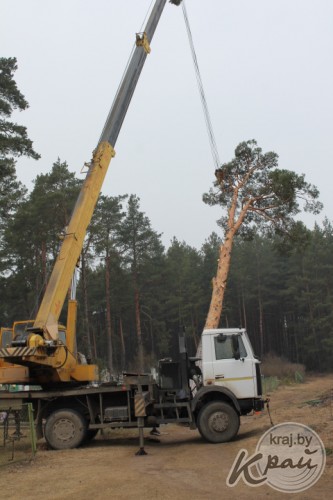 Без лопаты и воды. Как жители Вилейского района сжигают на участках мусор (ФОТО)