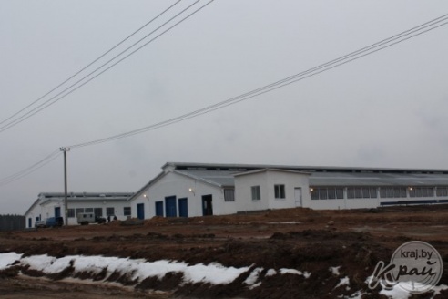 Современную молочно-товарную ферму открыли в Добровичах Вилейского района (ФОТО)