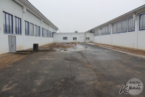 Современную молочно-товарную ферму открыли в Добровичах Вилейского района (ФОТО)