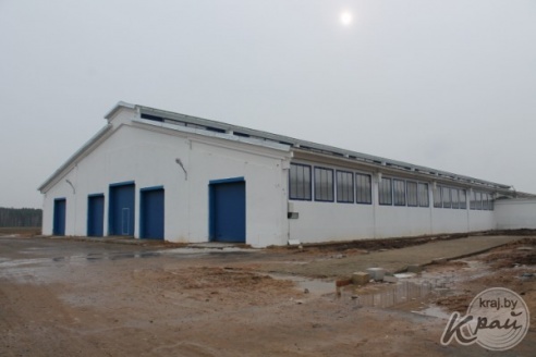 Современную молочно-товарную ферму открыли в Добровичах Вилейского района (ФОТО)