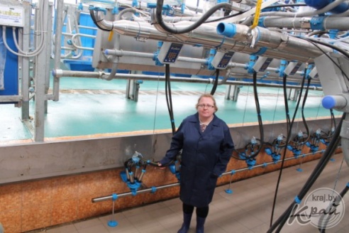 Современную молочно-товарную ферму открыли в Добровичах Вилейского района (ФОТО)