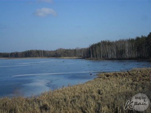 Из-за весеннего половодья подтоплений в Вилейском районе не наблюдается (ФОТО)