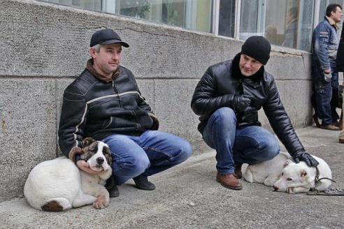 В Барановичах прошла республиканская выставка собак