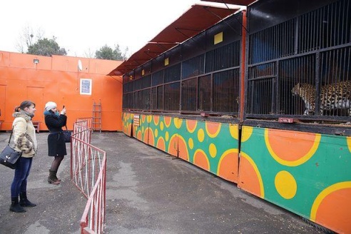 ФОТОФАКТ: Дикие звери в центре г. Барановичи