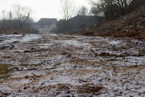 В Глубоком уничтожили сквер, в котором были высажены ценные породы деревьев (ФОТО)