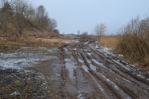 В Глубоком уничтожили сквер, в котором были высажены ценные породы деревьев (ФОТО)
