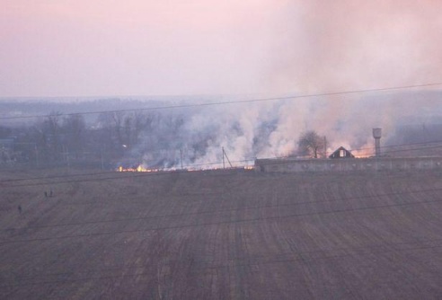 За выжигание сухой травы в Барановичском регионе составлено два протокола