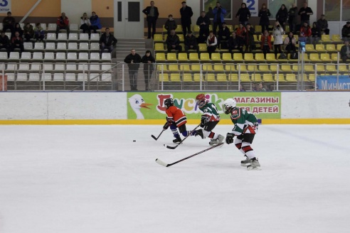 "Золотая шайба" в Горках. ФОТО