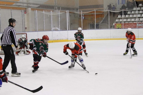 "Золотая шайба" в Горках. ФОТО