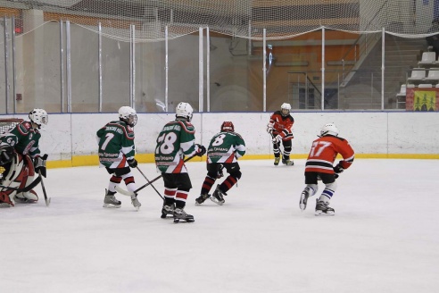 "Золотая шайба" в Горках. ФОТО