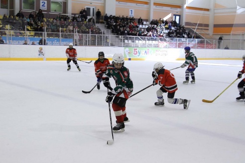 "Золотая шайба" в Горках. ФОТО