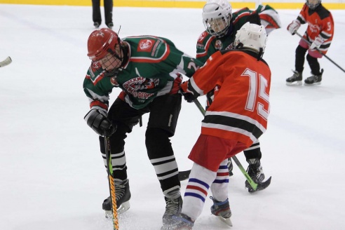 "Золотая шайба" в Горках. ФОТО