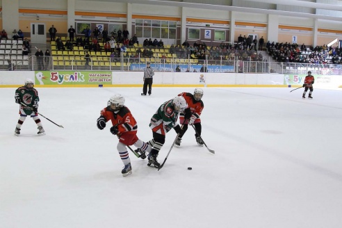 "Золотая шайба" в Горках. ФОТО