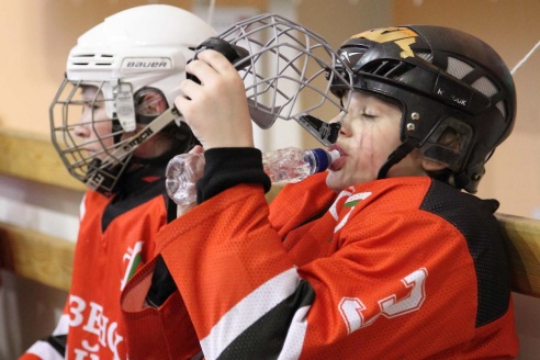 "Золотая шайба" в Горках. ФОТО