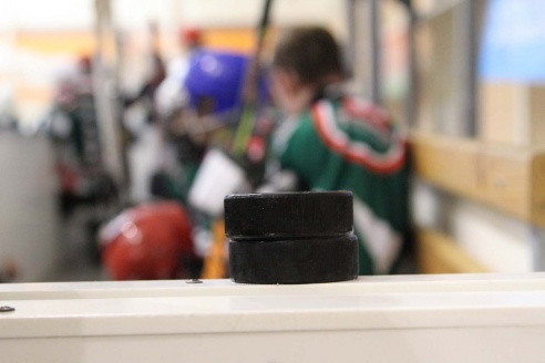 "Золотая шайба" в Горках. ФОТО