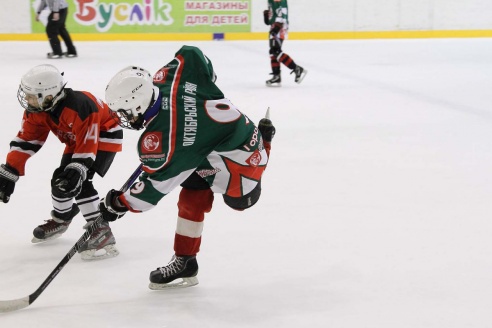 "Золотая шайба" в Горках. ФОТО