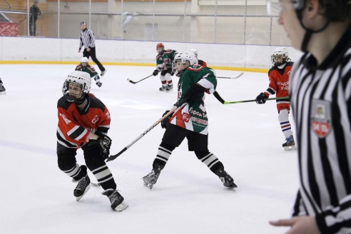 "Золотая шайба" в Горках. ФОТО