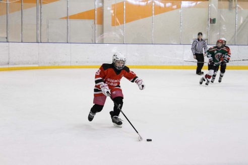 "Золотая шайба" в Горках. ФОТО