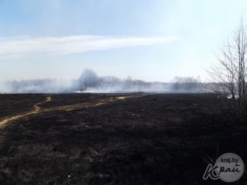 В Вилейском районе пенсионер сжигал мусор. В результате сгорели две дачи и два сарая (ФОТО)