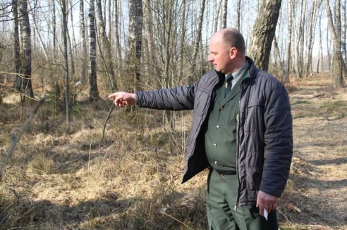 В Барановичском районе сбору березового сока препятствует погода