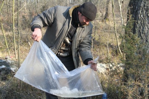 В Барановичском районе сбору березового сока препятствует погода