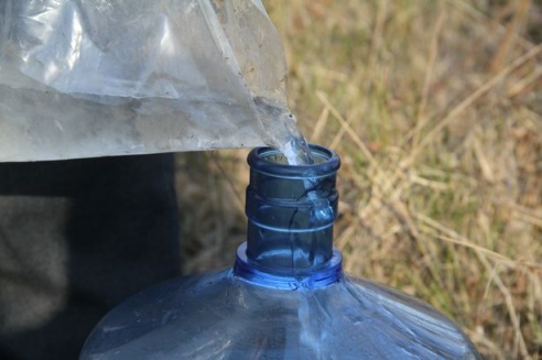 В Барановичском районе сбору березового сока препятствует погода