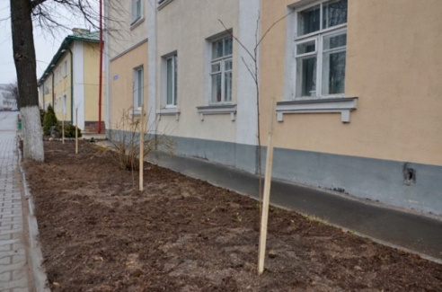 ФОТОРЕПОРТАЖ: Как в Глубоком и районе 21 марта прошел субботник